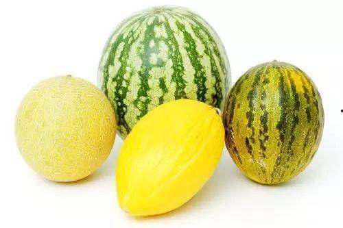 夏天吃瓜降暑,清凉瓜果盛宴