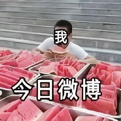 雨夏吃瓜完结,一场甜蜜的瓜田盛宴