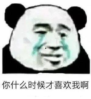 熊猫头吃瓜头像,萌态十足,带你领略国宝的趣味瞬间