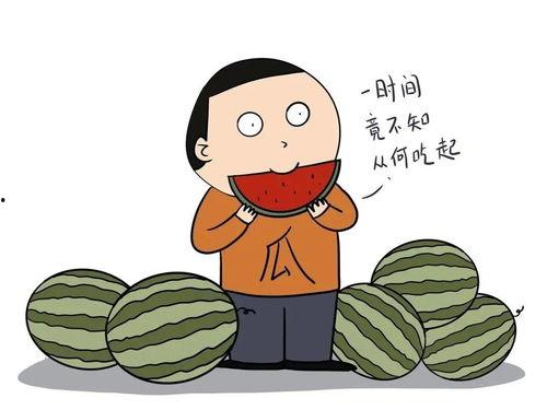 小秦吃瓜