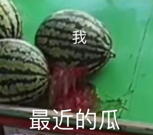 吃瓜黑网暴,吃瓜黑网背后的真相与反思