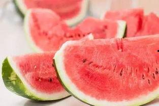 夏天懂吃瓜,吃瓜解暑,夏天懂吃瓜的清凉秘籍
